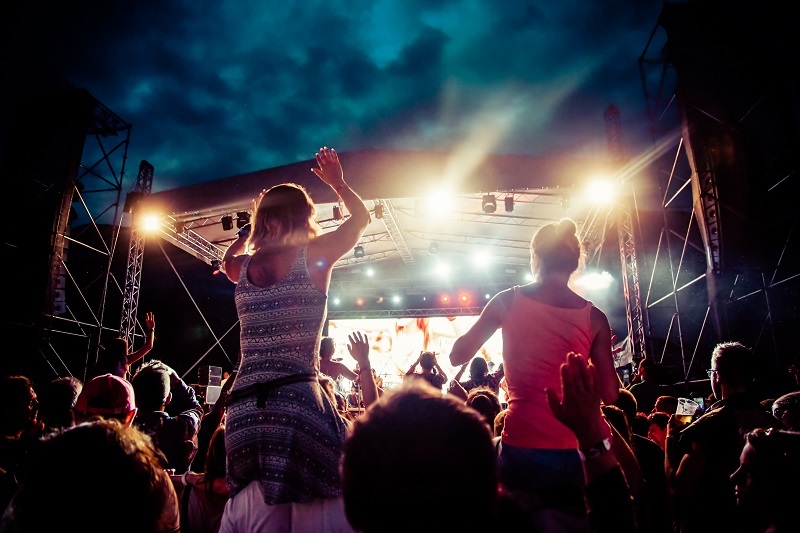 flowers flowers  / the flowers